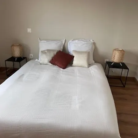 Les Colombages De L'ours Colmar